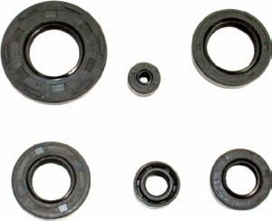 Motorcycle Parts Motorcycle Oil Ring Ax100