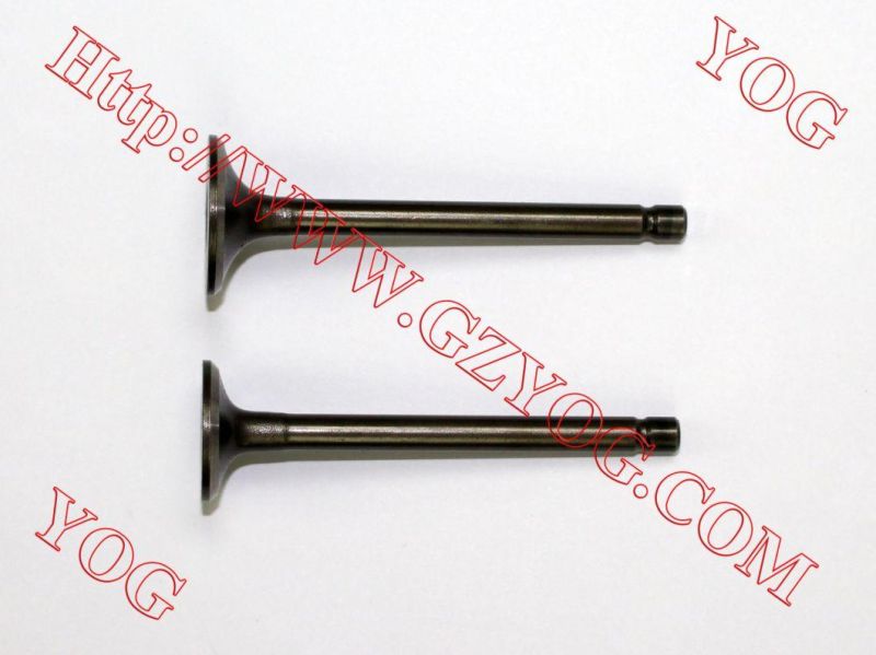 Yog Motorcycle Spare Parts Valve for Bajaj Bm100esks Bm150 Boxer Cg125