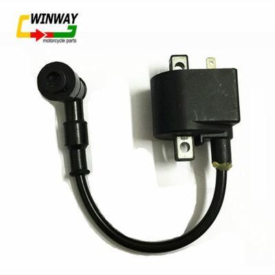 Ww-81136 Motorcycle Part Ignition Coil for Ax100