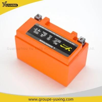 Motorcycle Parts Motorcycle Maintenance Free Battery: Mf12V7-1A