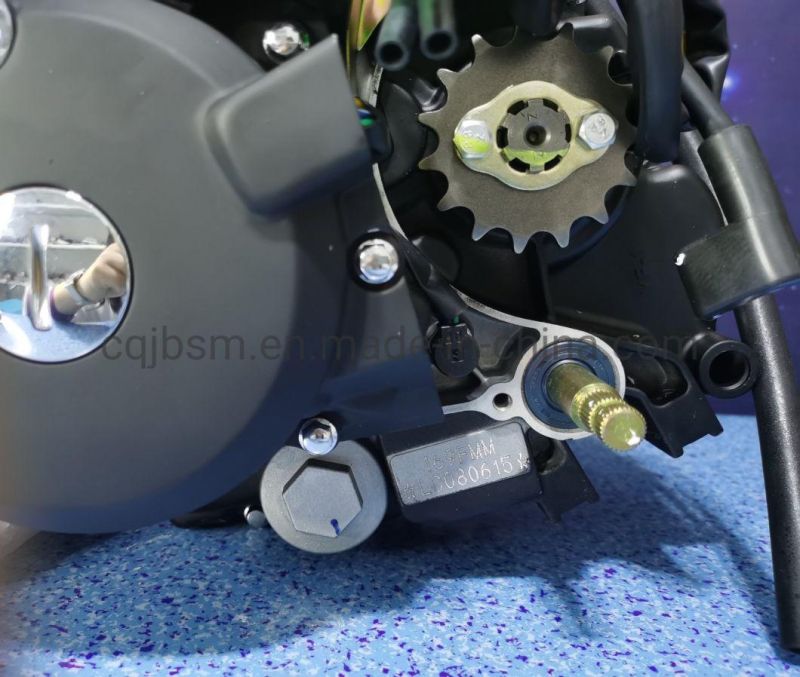 Cqjb High Quality CB250 Motorcycle Dirt Bike Assembly Engine