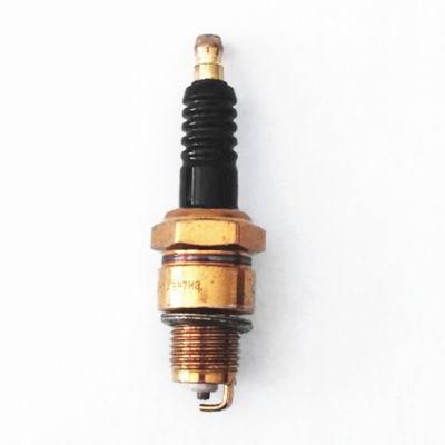 High Quality Motorcycle Spare Parts Auto Engine Parts Spark Plug