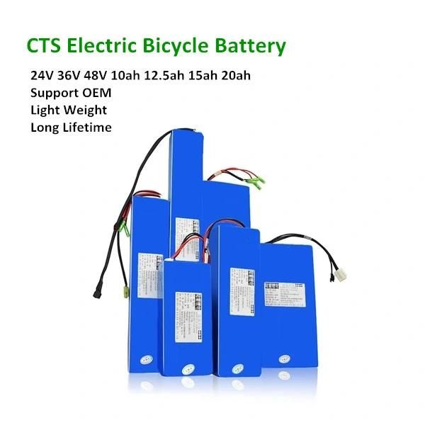 E-Bike 36V 48V 20ah Lithium Ion Battery for Ebike Electric Bike