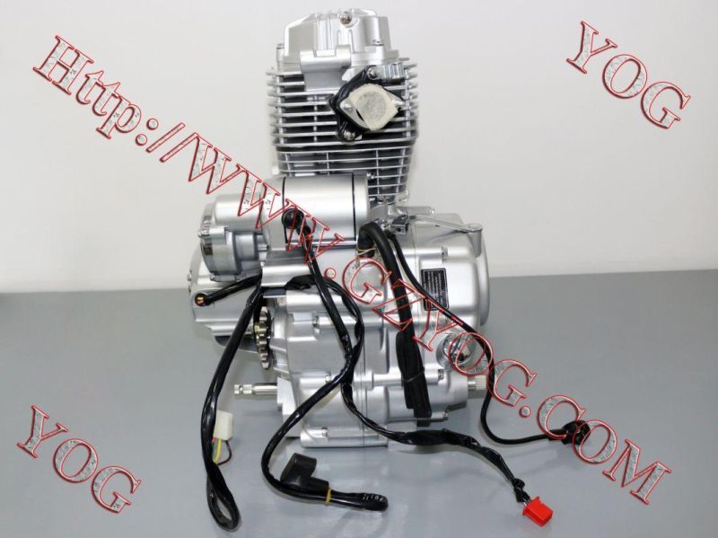 Yog Motorcycle Parts Motorcycle Engine Complete for Zongsheg Lifan Loncin Dayun 125cc 150cc 200cc 250cc