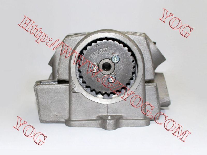 Yog Motorcycle Spare Parts Cylinder Head Complete Ybr125, Jh110, Gxt200