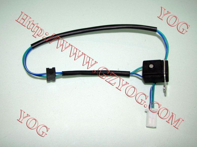 Motorcycle Spare Parts Motorcycle Pulser Coil Bajaj Boxer Tvs Star Hlx125 Cg125