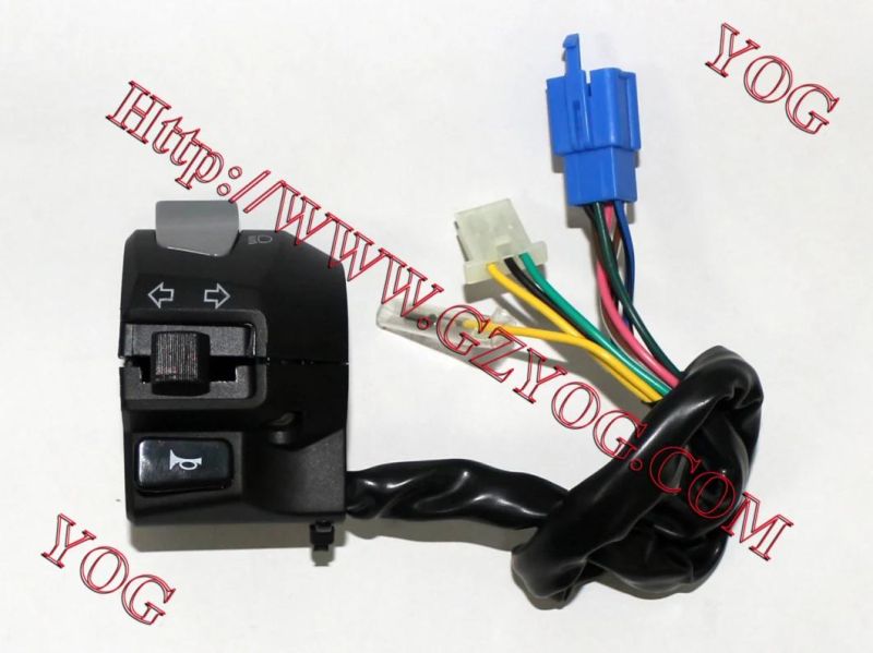 Yog Motorcycle Parts Motorcycle Handle Switch/Handle Bar Switch Assy for Bajaj/Hj125/Tvs