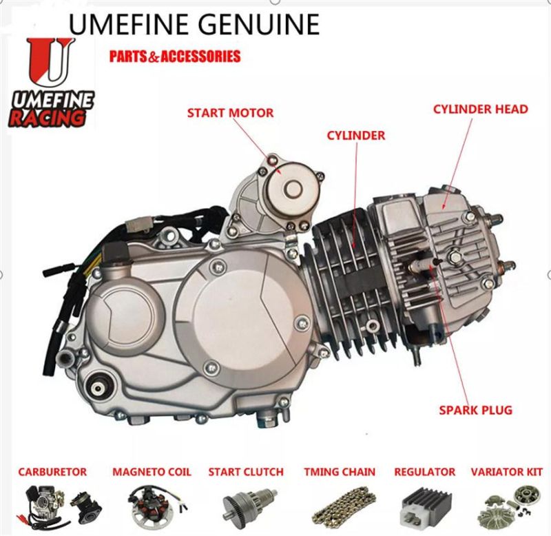 High Quality Sym Engine Parts for Xs125t-17 Gr125