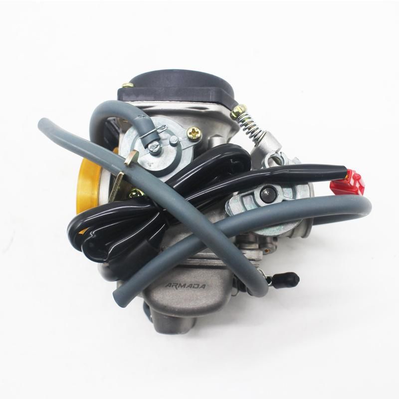 Motorcycle Engine Parts Motorcycle Carburetor for Ds-150