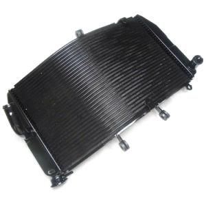 Frdhd001 Motorcycle Parts Aluminum Radiator for Cbr600rr 03-06