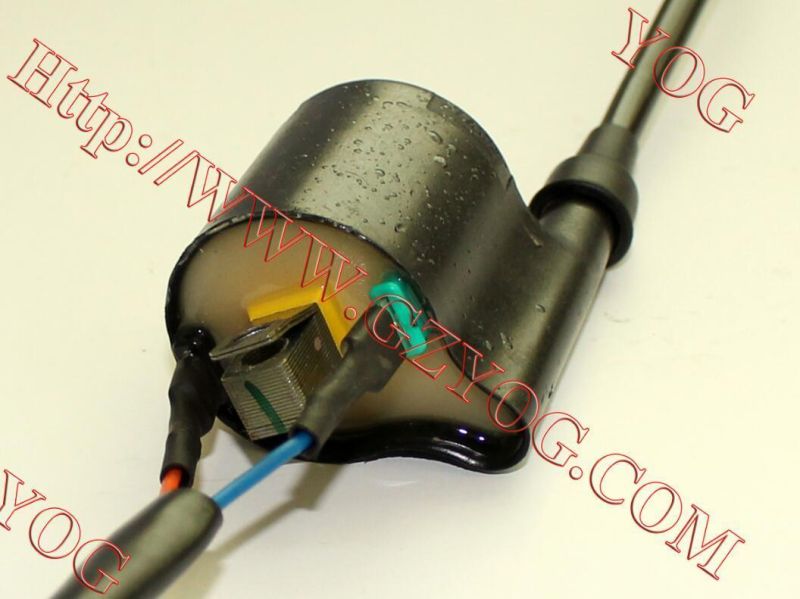 Motorcycle Parts Ignition Coil Ignition Comp. for Tvs Start Hlx125/Tvs Start Lf125
