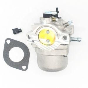 Perfect Quality Replace 498027 499161 498231 494502 494392 Lawnmower Part Brigg &amp; Stratton 799728 Carburetor