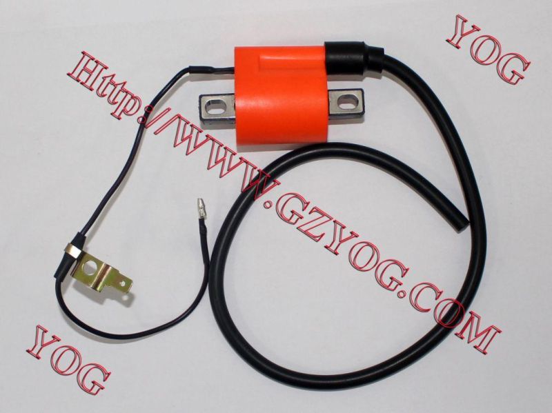 Yog Motorcycle Parts Motorcycle Ignition Coil for Yb100