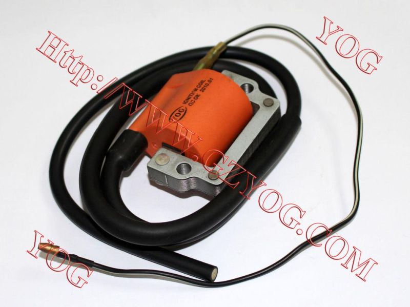 Motorcycle Ignition Coil Bobina Alta Ax100 Jh70 CD70