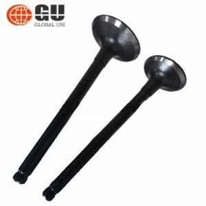Supply Motorcycle Cg200 Engine Valve Engine 26mm 31mm Intake and Exhaust