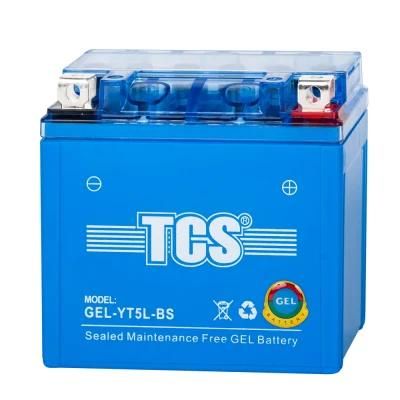 TCS Sealed Maintenance Free Gel Battery for Most Motorcycles (GEL-YT5L-BS)