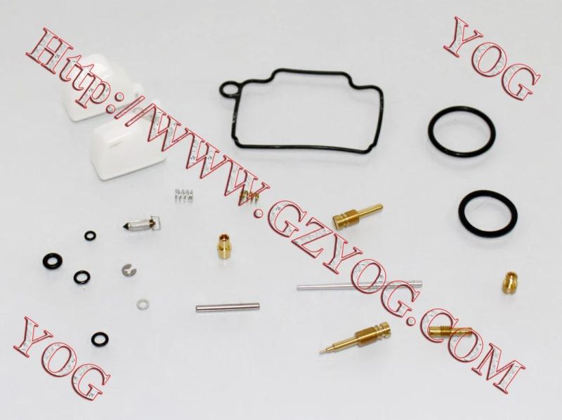 Motorcycle Parts Carburetor Repair Kit for Ax100 Dy100 Cg200