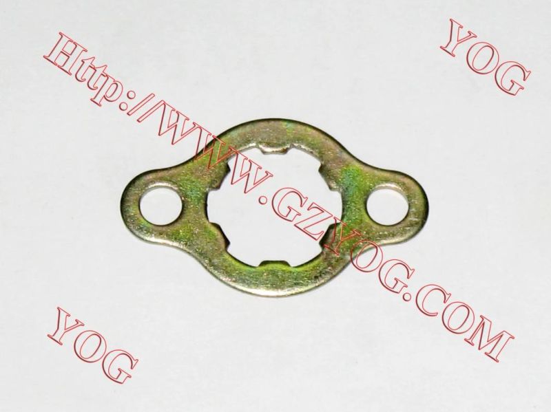 Yog Motorcycle Parts Fixing Plate Front Sprocket for Honda Suzuki Bajaj