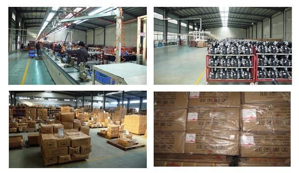 High Quality Durable Motorcycle Parts of Universal Valve (SL125-AA)
