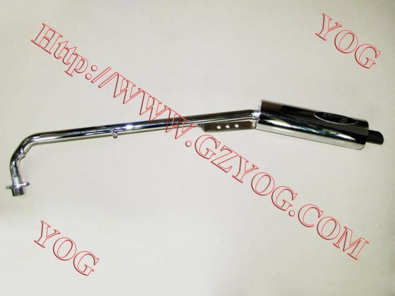 Yog Motorcycle Spare Parts Exhaust Pipe Muffler Assy for An125, Gxt200, Bajajboxer