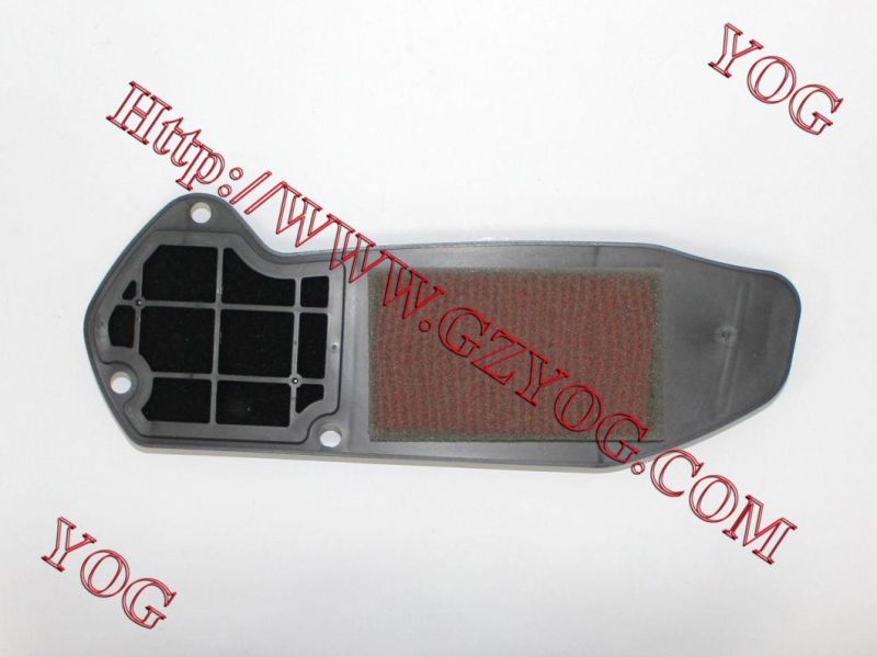 Motorcycle Parts Motorcycle Air Cleaner for Borss/Titan150