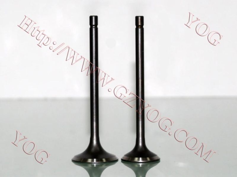 Motorcycle Spare Parts Engine Part Valve for Bajajpulsar135 Ugboss125 Shogun