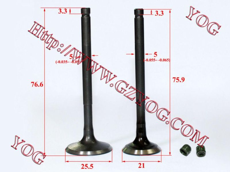 Motorcycle Valve for Outlook-150/CD110