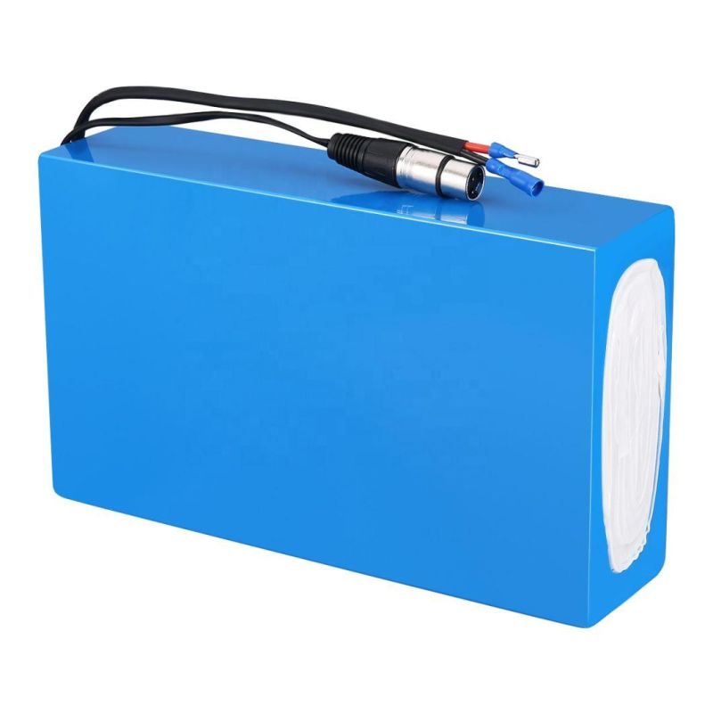 Lithium-Ion Battery 12V/24V/48V LiFePO4 10ah/20ah/30ah Rechargeable Battery for Telecom/Golf Car/Boat LiFePO4 Battery Pack