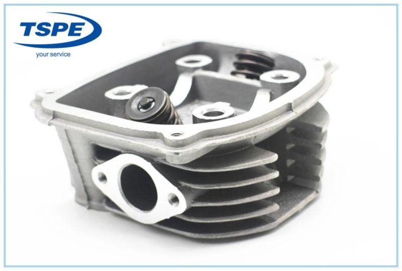Motorcycle Engine Parts Motorcycle Cylinder Head for Ws175