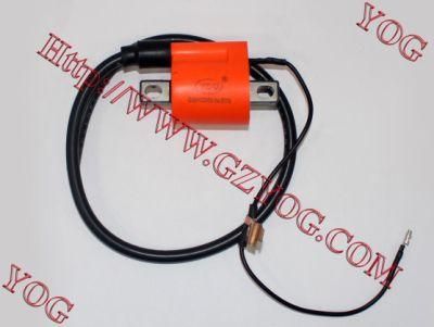 Motorcycle Parts Ignition Coil Encendido Xr-250 Tvsstarhlx125 CB125ace