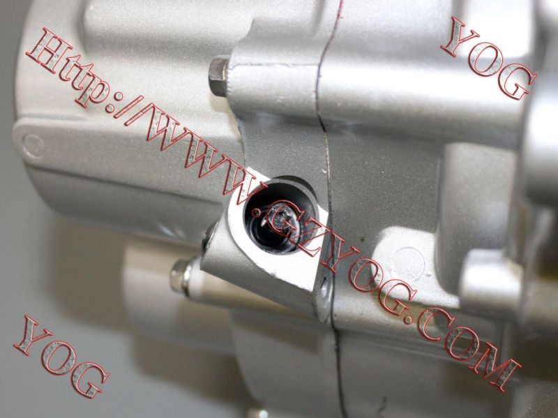 Motorcycle Spare Parts Scooter Engine Gy6-80/125