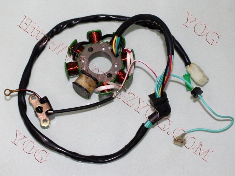 Motorcycle Spare Parts Magneto Coil Engine Parts Stator Comp. FT125 Italika125z Tc20020142016