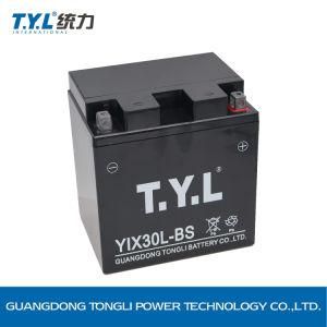 Yix30L-BS 12V30ah Wet Lead Acid Battery