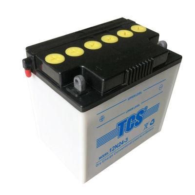 TCS Dry Charged Lead Acid Motorcycle Battery 12N24-3