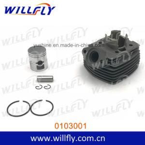 Motorcycle Parts Cylinder Kit for Pgt4 Peugeot 40mm