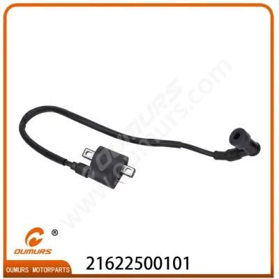 Motorcycle Spare Parts Motorcycle Ignition Coil for Sanya 110-22