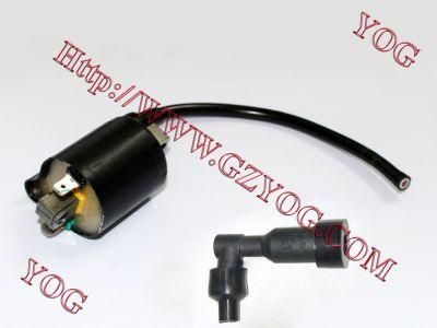 Motorcycle Parts Motorcycle Ignition Coil for Tvs Star/Hlx125