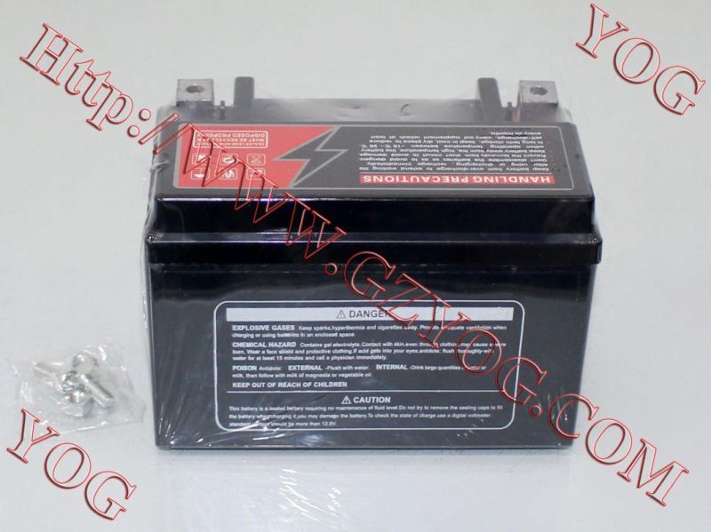 Yog Motorcycle Parts Motorcycle Battery for Yb6.5L-BS Cg125 (Maintenance Free)