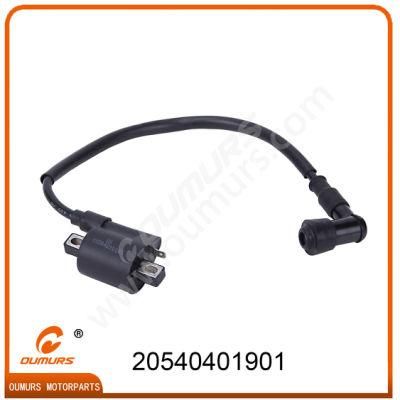 Motorcycle Accessories Motorcycle Ignition Coil for Bajaj Boxer CT100-Oumurs