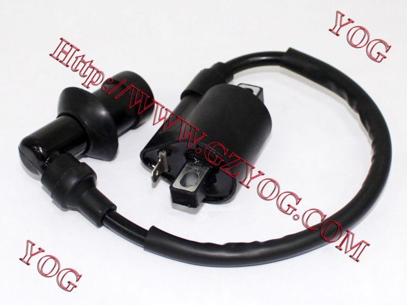 Motorcycle Spare Parts Motorcycle Ignition Coil Gy6-125 ATV-49c Ax100