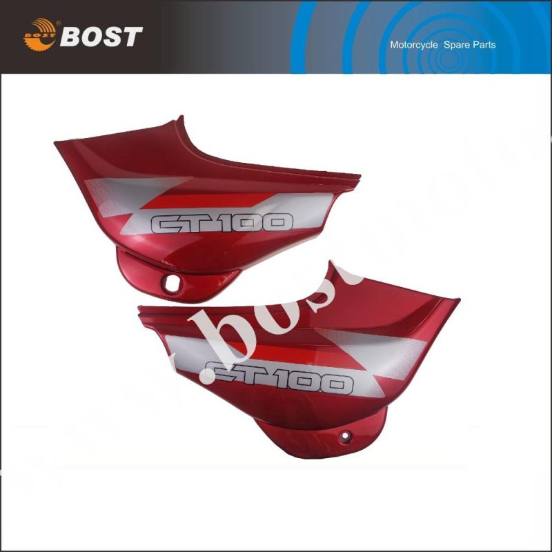 Motorcycle Body Parts Motorcycle Side Cover for CT100 Motorbikes