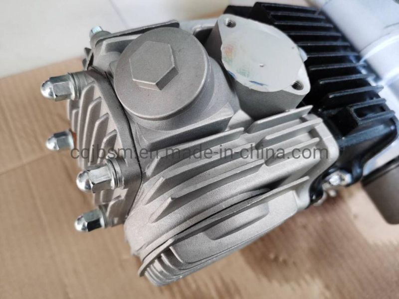 Cqjb 110cc Electric Kick Start Motorcycle Engine Assembly