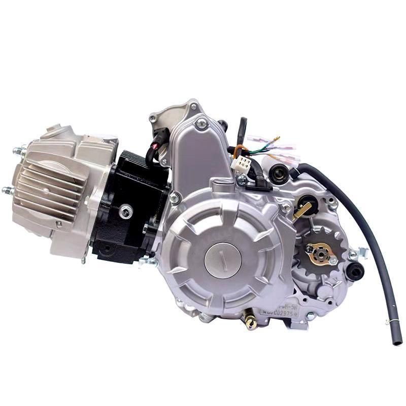 Hot Sale Two-Wheeled Three-Wheeled Motorcycle General Air-Cooled Horizontal 110cc Motorcycle Engine Assembly