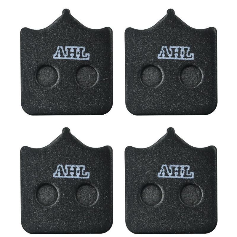 Fa604 Motorcycle Front Brake Pads for BMW S1000r