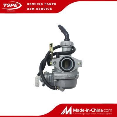 Motorcycle Engine Parts Motorcycle Carburetor for at-110