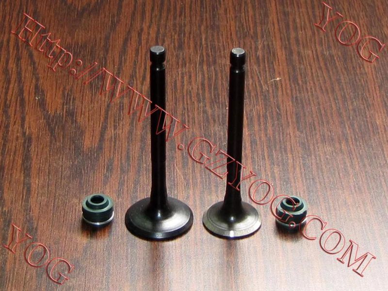 Yog Motorcycle Spare Parts Valve and Oil Seal for Tvs Star Bajaj Bm100esks An125