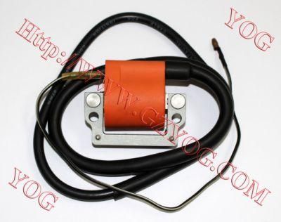 Motorcycle Parts Ignition Coil Ignition Comp. for Yb50/50cc and Other Various Models