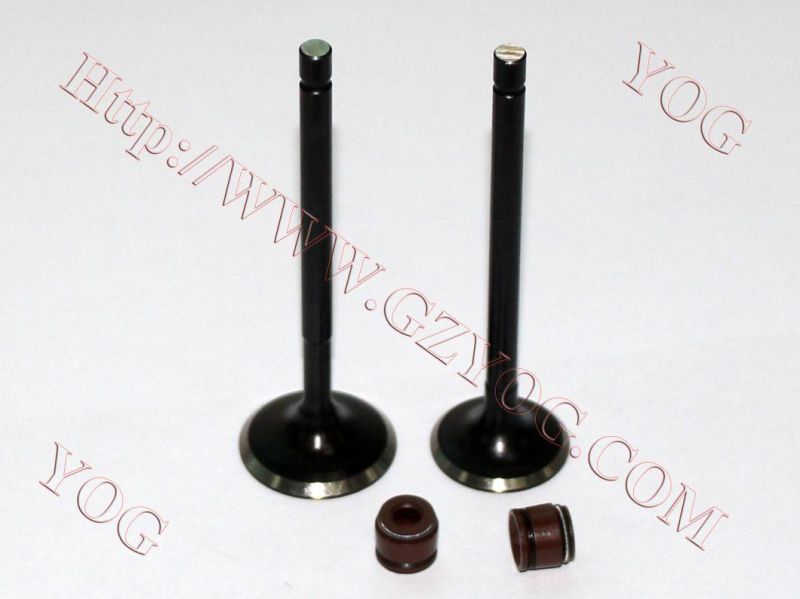 Motorcycle Engine Valve Kit Valvulas CB250 CB110 Wy125