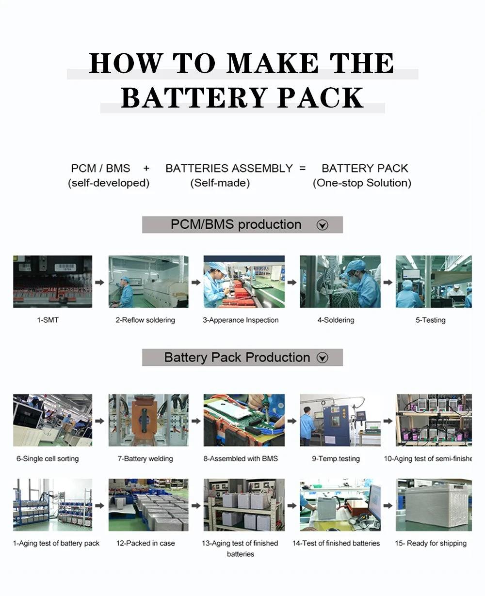 Deep Cycle Rechargeable Starter Cranking Battery 12V 60ah /100 Ah Lithium Ion / LiFePO4 Power Battery for Yacht/Electrical Vehicle/ Golf Cart/ RV and Agv