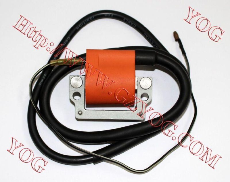 Motorcycle Parts Ignition Coil Ignition Comp. for Yb50/50cc and Other Various Models